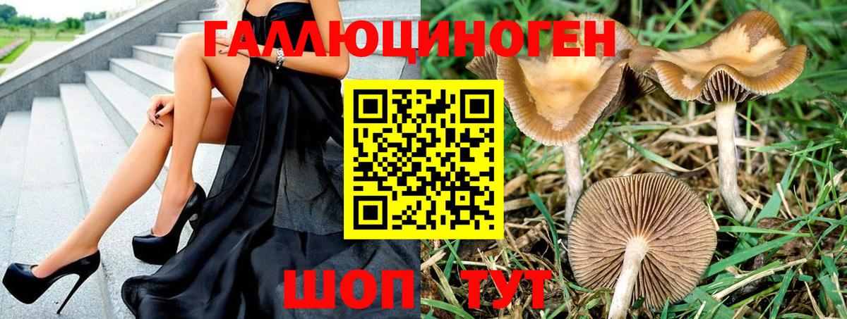 Псилоцибиновые грибы прущие грибы  Вход с VPN  Мурманск 