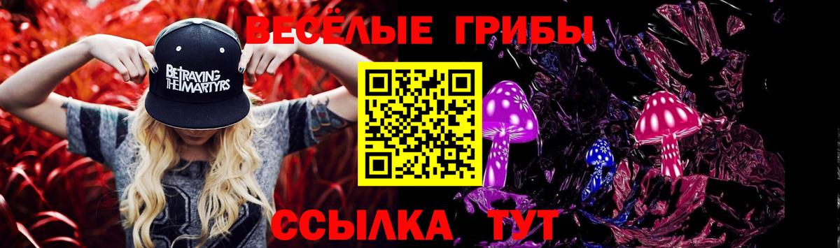 Галлюциногенные грибы Psilocybe Мурманск